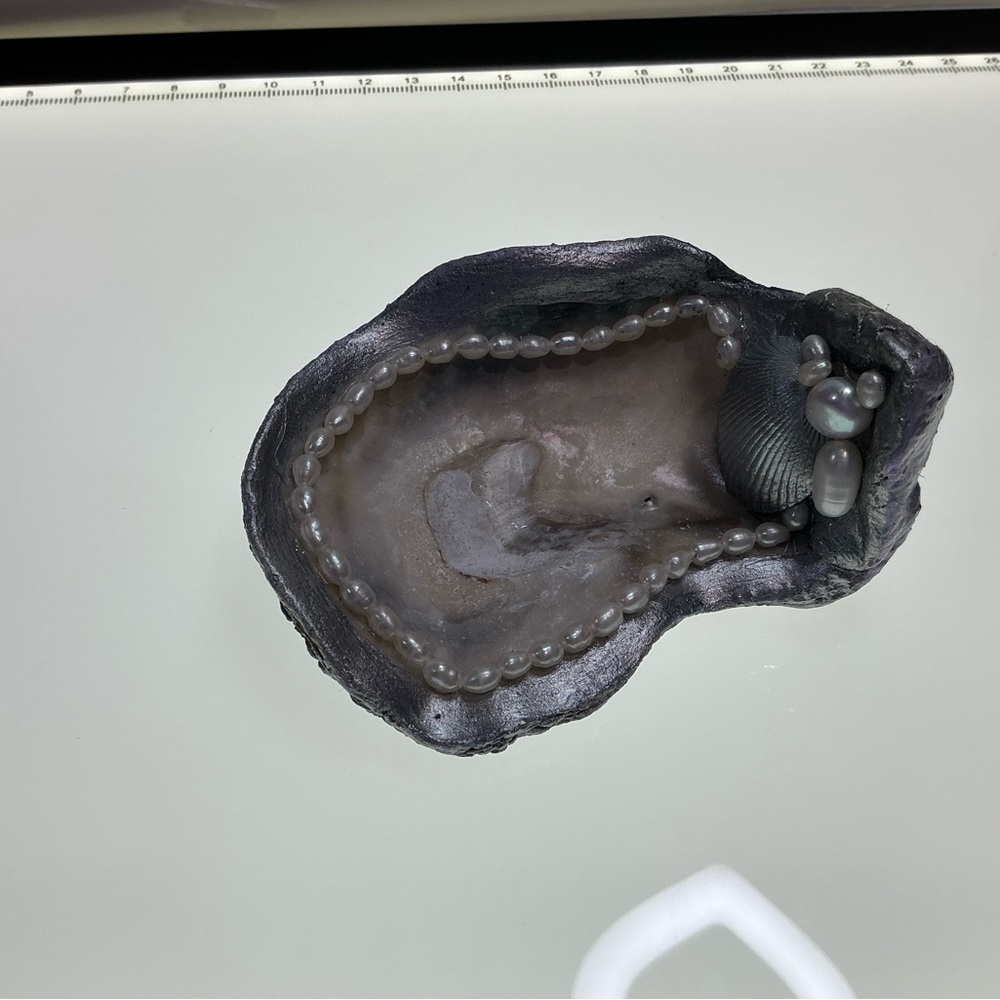 Elegant Gray Oyster Shell Jewelry Holder pearls